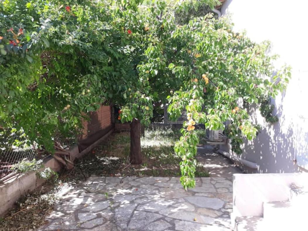 Le Galli En Plein Coeur De Sanary Exteriér fotografie